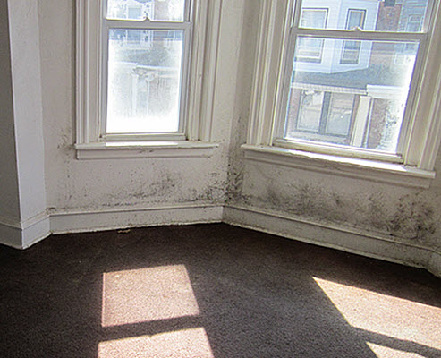Homeowner Tip Caulking Windows To Prevent Mold Damage