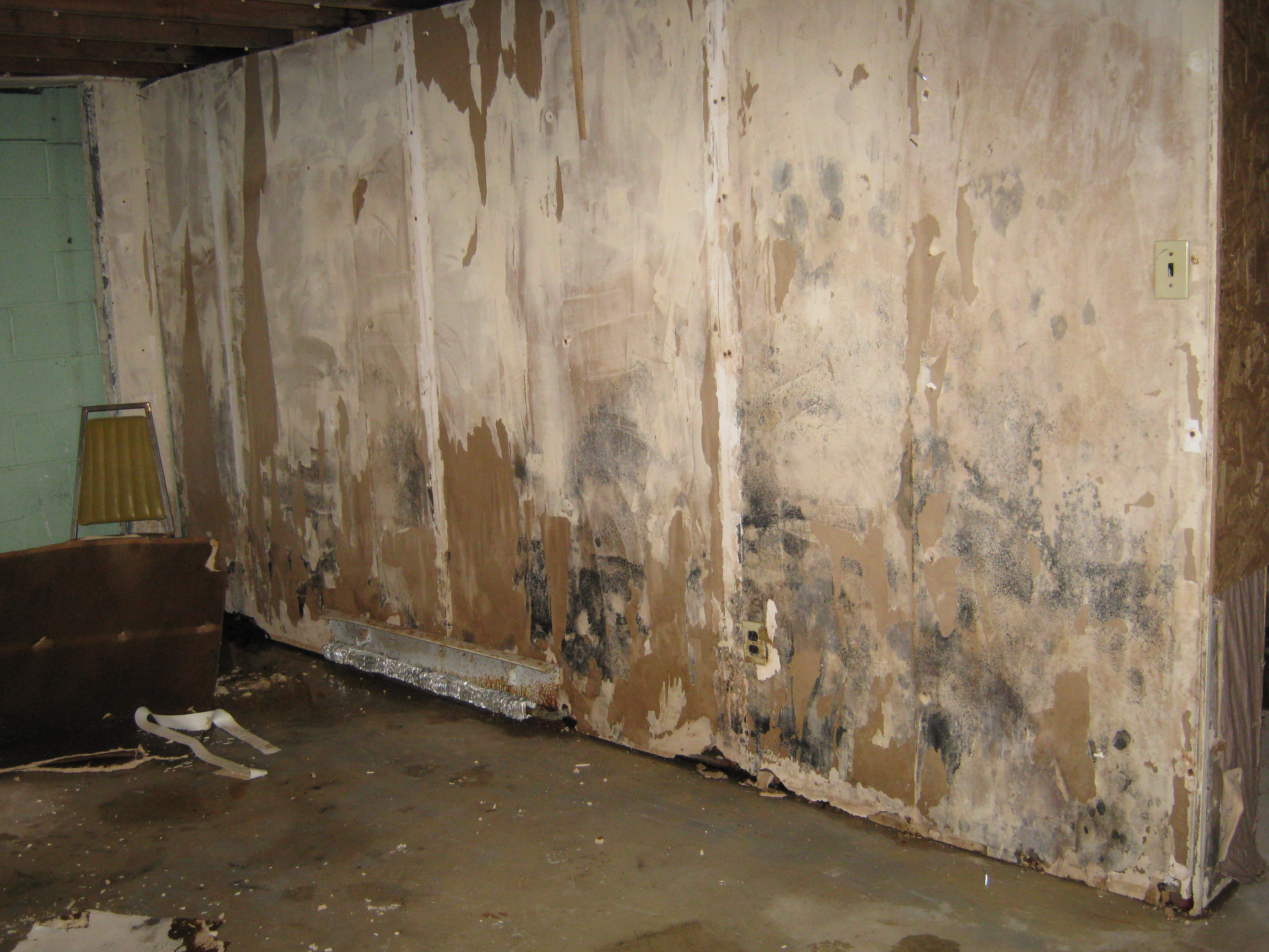 Water Damage Cleanup