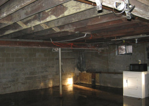 mold growth in basement after flooding