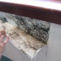 mold damage behind wallpaper due to improper drying