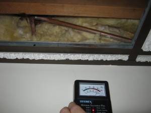 Moisture Meter readings track the extent of the water damage that caused the mold to grow