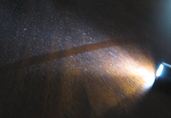 shining a light on insulation dust cleanup