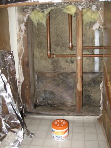 mold can make you sick