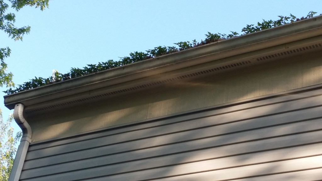 homeowner hacks: keep your gutters clean