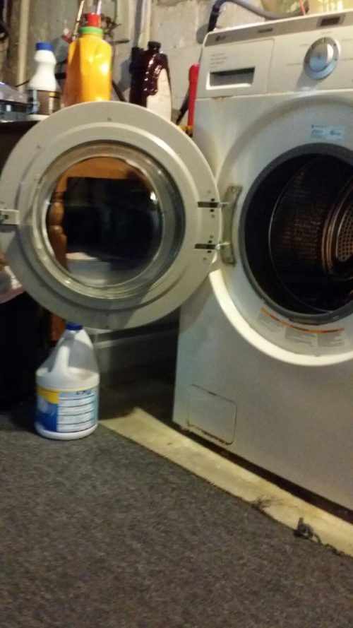 washing machine mold - a growing problem