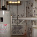 prevent basement mold by drying water damage fast