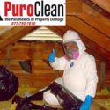 attic mold damage restoration technician