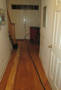 water damage to wood floors