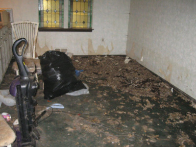 animal hoarding cleanup Marlton, NJ