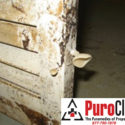 Mold problem in Burlington, NJ basement