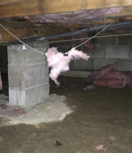 Mold in crawlspace Whiting NJ