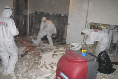 field services technician provide professional mold removal services