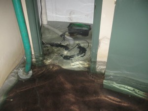 dry out a flooded basement