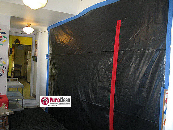building containment before commercial mold removal