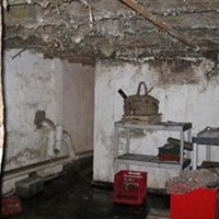 mold growth in wet Philadelphai PA basement