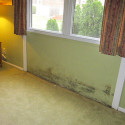 too late to prevent mold damage to this Marlton, NJ home