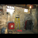 basement mold removal Philadelphia