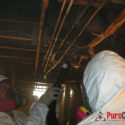 basement mold removal technicians