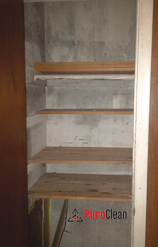 Cherry Hill kitchen mold in pantry