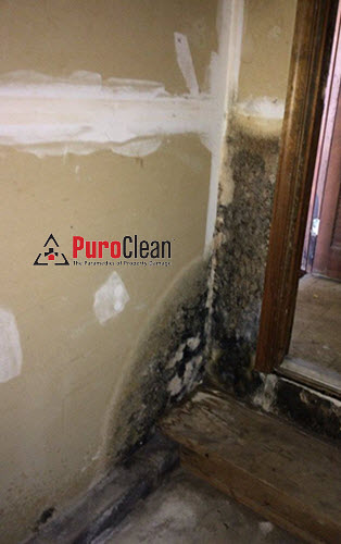 garage mold growth from laundry room leak