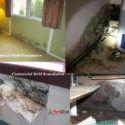 if you find mold in your residential or commercial building in Philadelphia and Cherry Hill call us