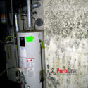 hot water heater burst caused moldy drywall