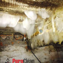 bleach won't kill mold in this Philadelphia basement