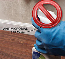 mold cleaning tips