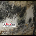 asthma, mold, and indoor air quality